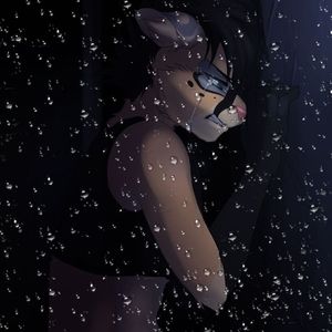 Meet your Posher, Breanna